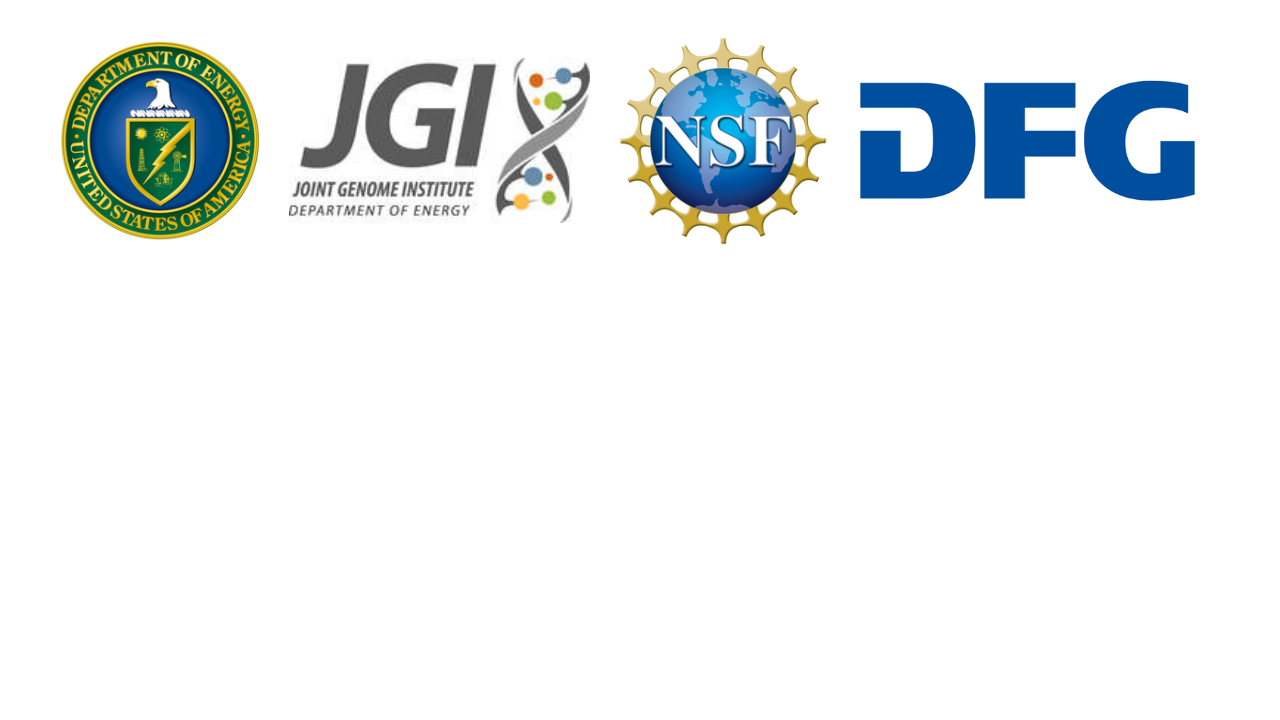 logos