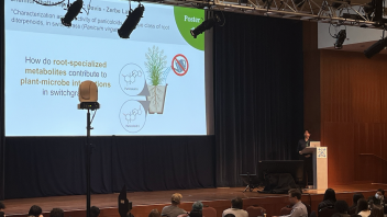 A speaker presents a research poster on plant-microbe interactions in switchgrass during a scientific conference, standing at a podium in front of a large audience.