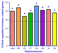 Bar chart showing percentage of circadian clock-regulated genes linked to different phytohormones with significance stars.