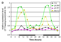 Bioluminescence rhythms in gi mutants.