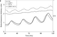 Bioluminescence traces over 120 hours comparing Col, jmjd5-1, toc1-4, and double mutants, showing rhythmic differences.