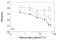 Line graph showing circadian period across red light fluence rates, with three genotypes plotted in black, blue, and red.