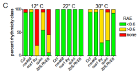 Stacked bar charts comparing rhythmicity classes of clock mutants across 12°C, 22°C, and 30°C growth conditions.