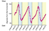 Line graph of sunflower stem angle over multiple days, showing rhythmic oscillations between east and west orientation.