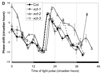Line graph of circadian phase shifts in Col and xct mutants across time of light pulse with multiple plotted traces.
